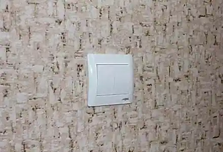 �������� ����������� � �����������